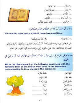 hilokal-notebook-image