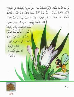 hilokal-notebook-image