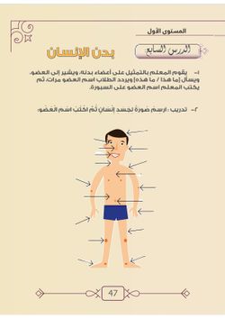 hilokal-notebook-image