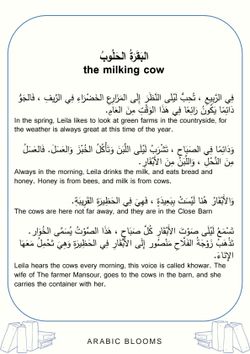 hilokal-notebook-image