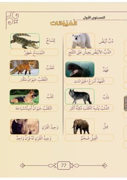 hilokal-notebook-image
