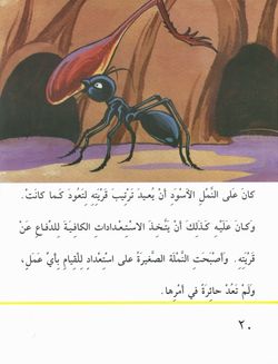 hilokal-notebook-image