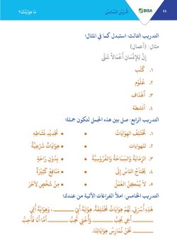 hilokal-notebook-image