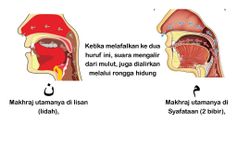 hilokal-notebook-image