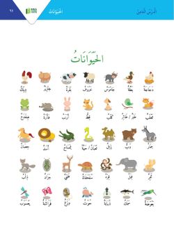 hilokal-notebook-image