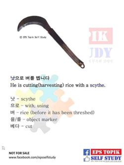 hilokal-notebook-image
