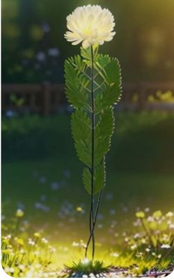 hilokal-notebook-image