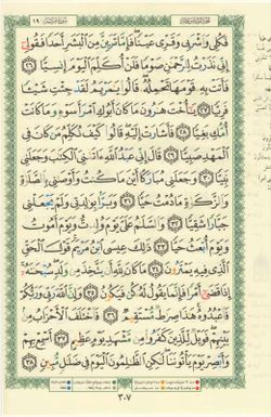 hilokal-notebook-image
