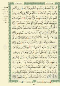 hilokal-notebook-image