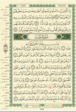 hilokal-notebook-image