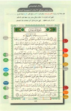 hilokal-notebook-image