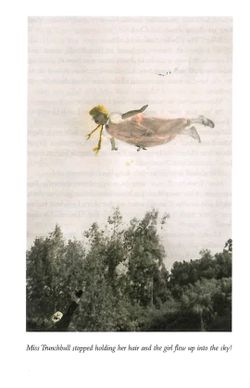 hilokal-notebook-image