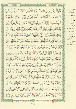 hilokal-notebook-image
