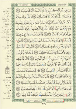 hilokal-notebook-image