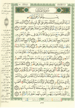 hilokal-notebook-image