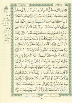 hilokal-notebook-image