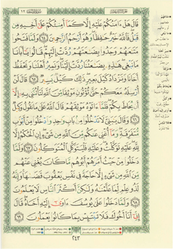 hilokal-notebook-image
