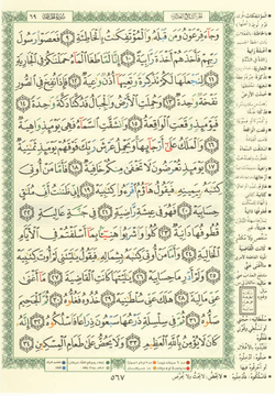 hilokal-notebook-image