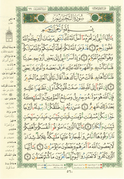 hilokal-notebook-image