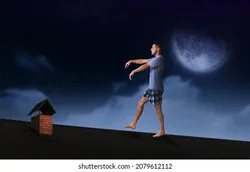 hilokal-notebook-image