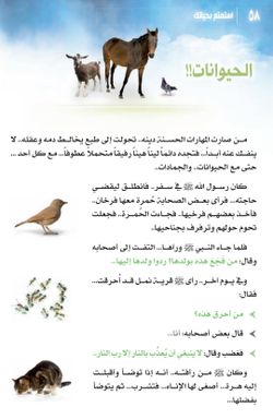 hilokal-notebook-image