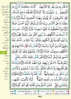 hilokal-notebook-image