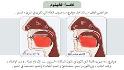 hilokal-notebook-image