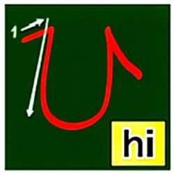 hilokal-notebook-image