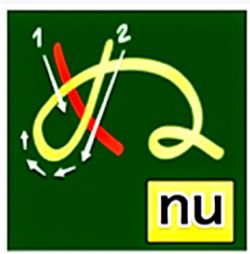 hilokal-notebook-image