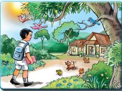 hilokal-notebook-image