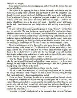 hilokal-notebook-image