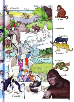 hilokal-notebook-image