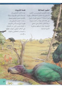 hilokal-notebook-image