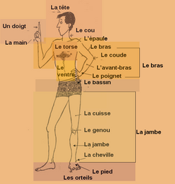 hilokal-notebook-image