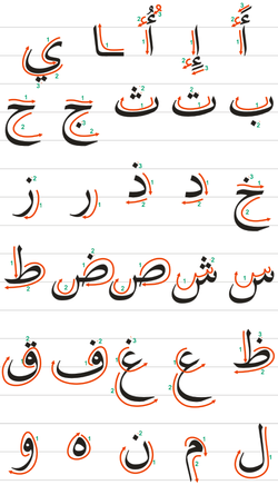 hilokal-notebook-image