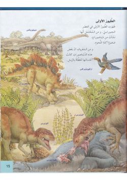 hilokal-notebook-image