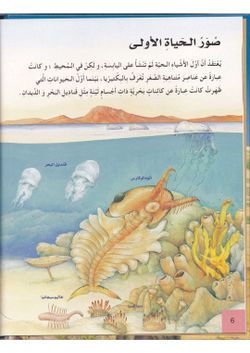 hilokal-notebook-image