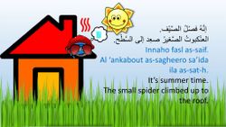 hilokal-notebook-image