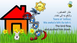 hilokal-notebook-image
