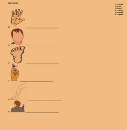 hilokal-notebook-image