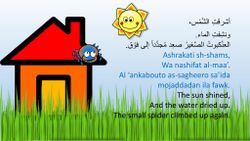 hilokal-notebook-image