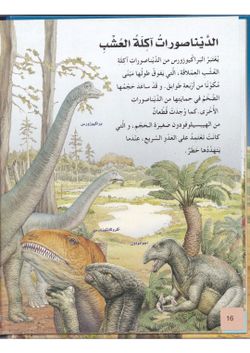 hilokal-notebook-image