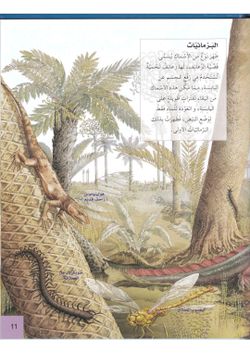 hilokal-notebook-image