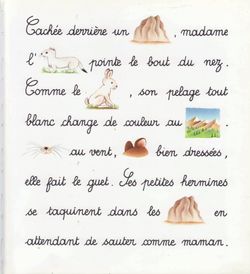 hilokal-notebook-image