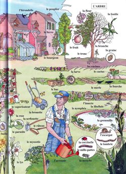 hilokal-notebook-image