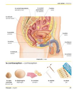 hilokal-notebook-image
