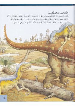 hilokal-notebook-image
