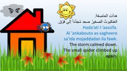 hilokal-notebook-image