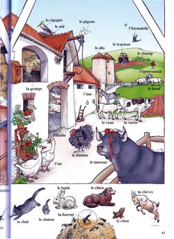 hilokal-notebook-image