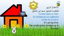 hilokal-notebook-image